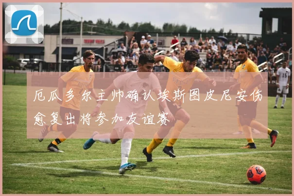 厄瓜多尔主帅确认埃斯图皮尼安伤愈复出将参加友谊赛
