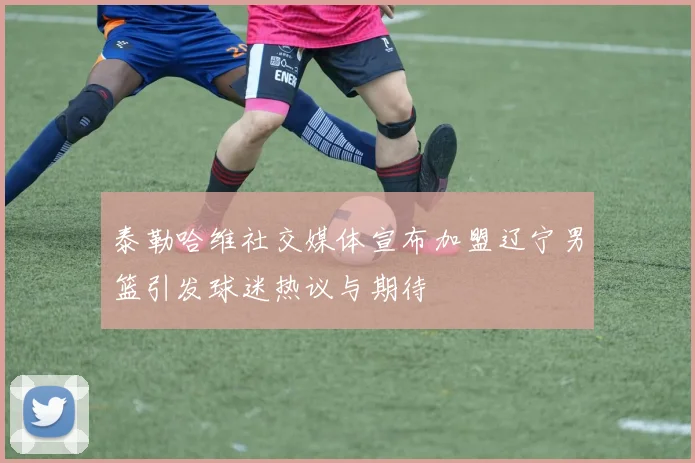 泰勒哈维社交媒体宣布加盟辽宁男篮引发球迷热议与期待