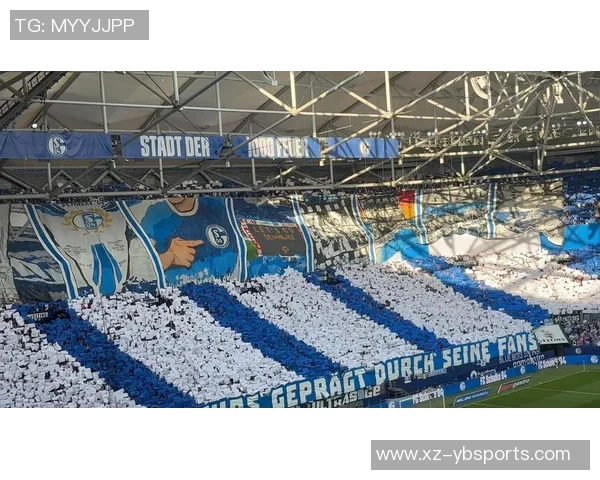 沙尔克04在德乙中表现出色卡里乌斯守门稳健15场比赛零封8次 沙尔克04在德乙中表现出色卡里乌斯守门稳健15场比赛零封8次